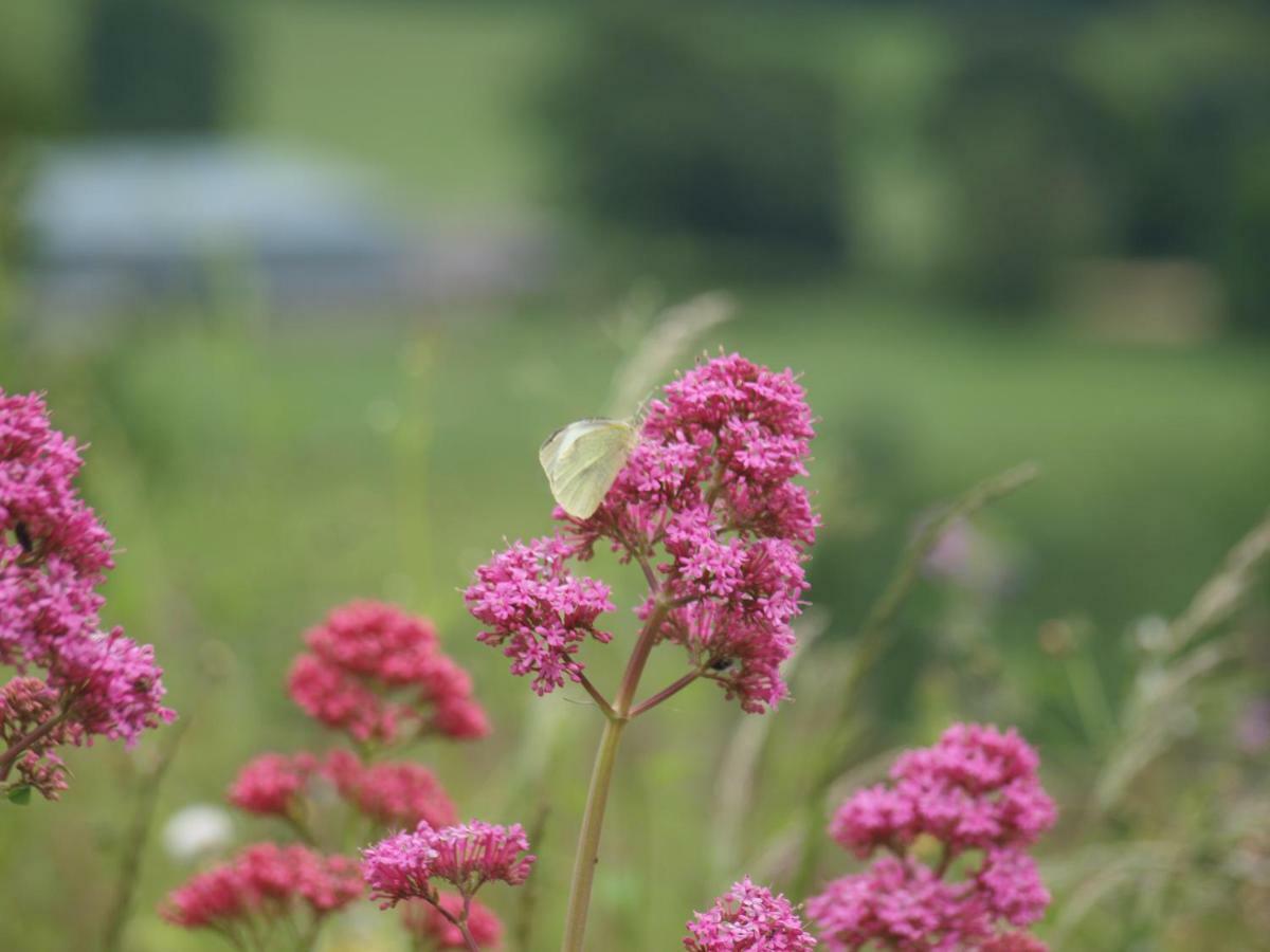 Incheoch Farm Cottage Kilry Экстерьер фото