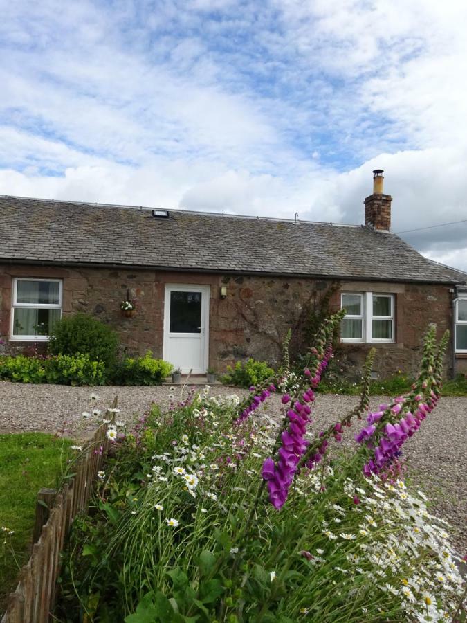 Incheoch Farm Cottage Kilry Экстерьер фото